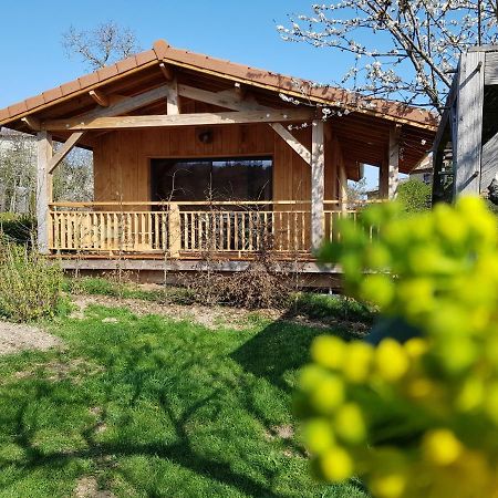 La Cabane Du Jardin Bongheat ภายนอก รูปภาพ