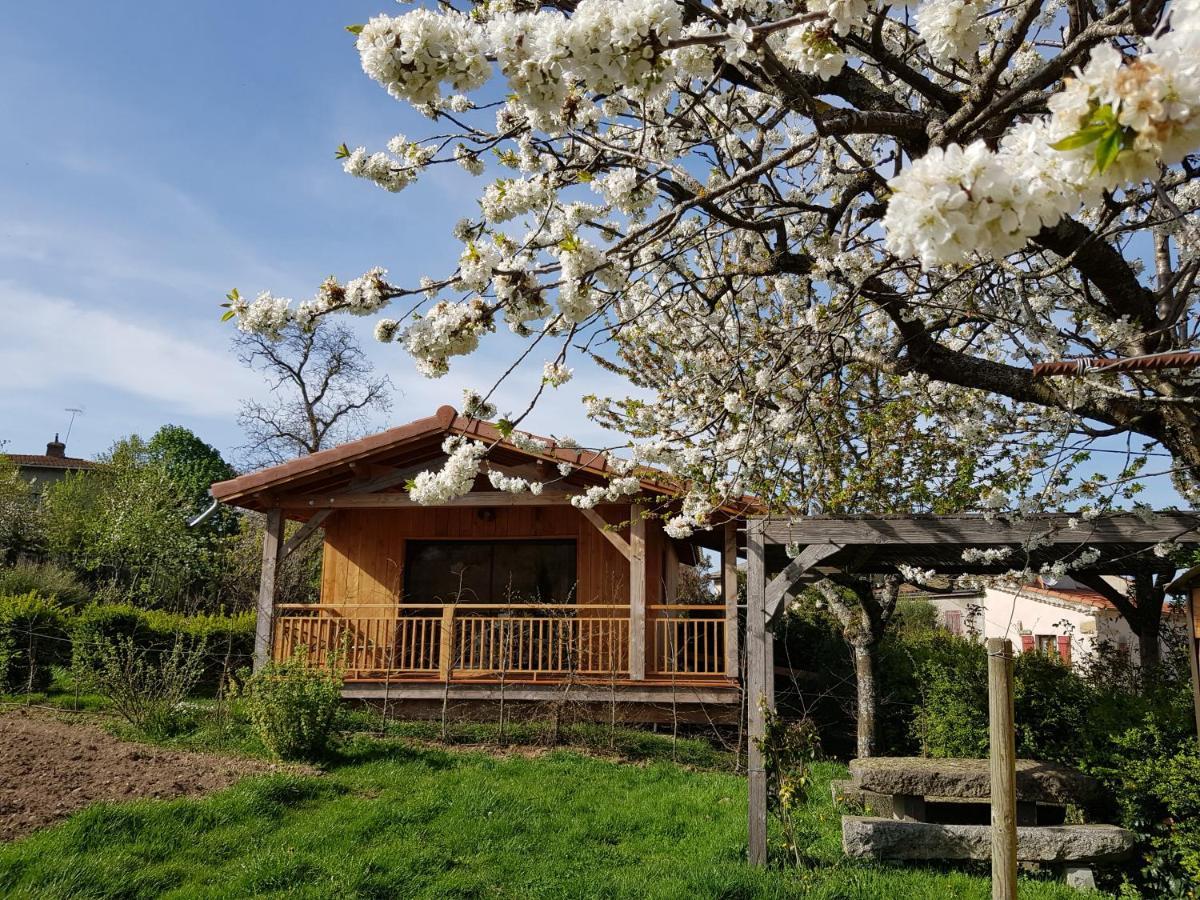 La Cabane Du Jardin Bongheat ภายนอก รูปภาพ